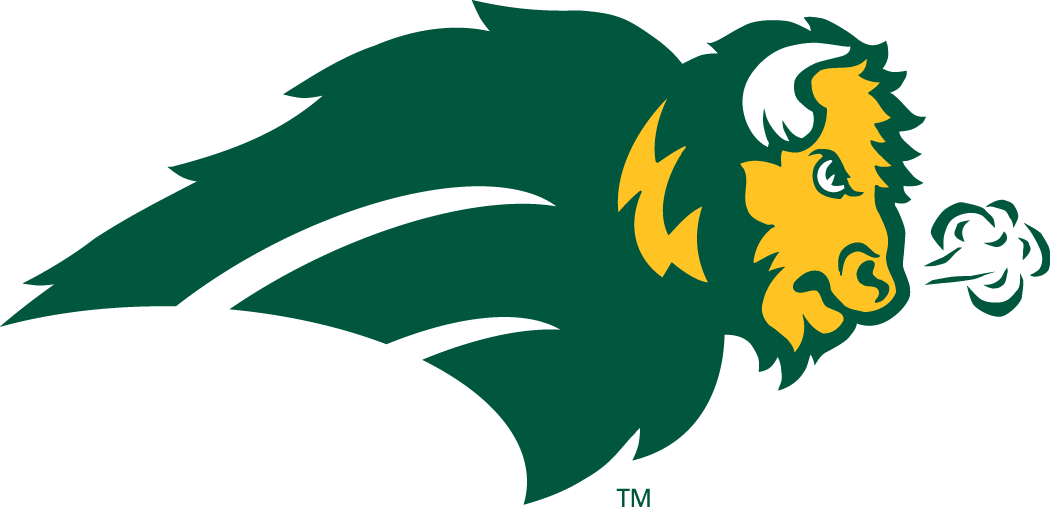 North Dakota State Bison 2005-2011 Alternate Logo v2 DIY iron on transfer (heat transfer)